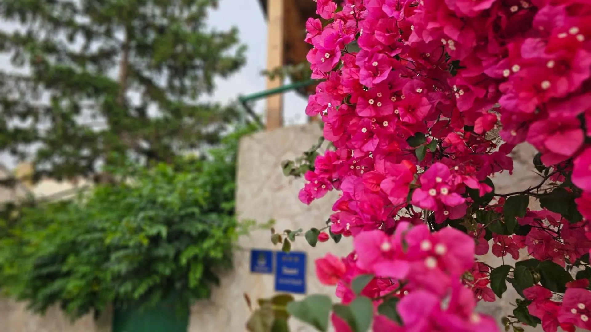 Apartment Franicevic Split Hırvatistan