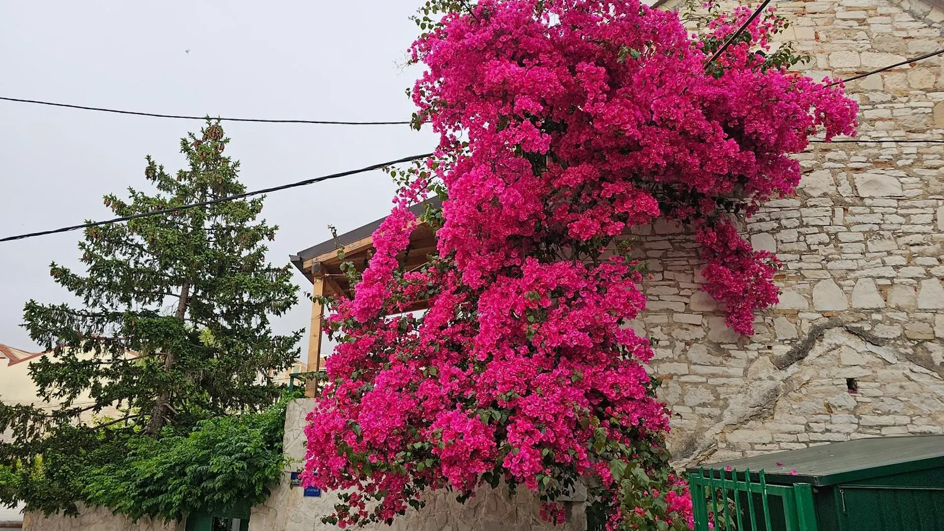 Apartment Franicevic Split Hırvatistan