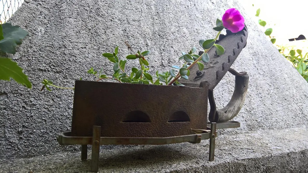 Apartment Franicevic Split Hırvatistan